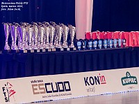 Mistrzostwa Polski FTS Standard - Konin 2018